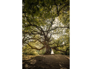 ' .  addslashes(Roberto Conti Visual) . '