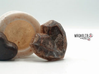 ' .  addslashes(Magnolia) . '