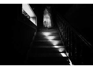 ' .  addslashes(Pietro Sorano) . '