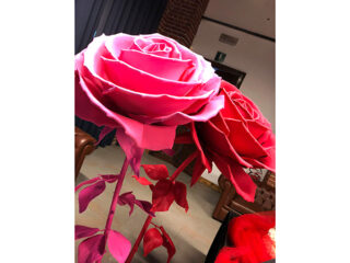 ' .  addslashes(Lally Decò) . '