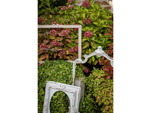 Il Piacere di Creare