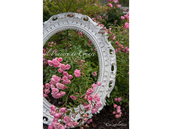 Il Piacere di Creare