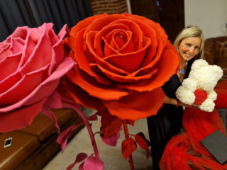 ' .  addslashes(Lally Decò) . '