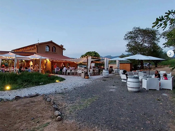 Provinciale Bolgherese