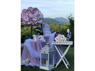 ' .  addslashes(Lally Decò) . '