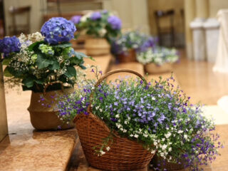 ' .  addslashes(Kreo Studios Flower & Designer) . '