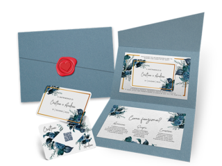 ' .  addslashes(Cloudcard) . '